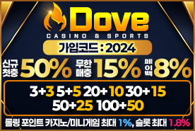 도브카지노